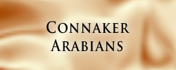 Connaker