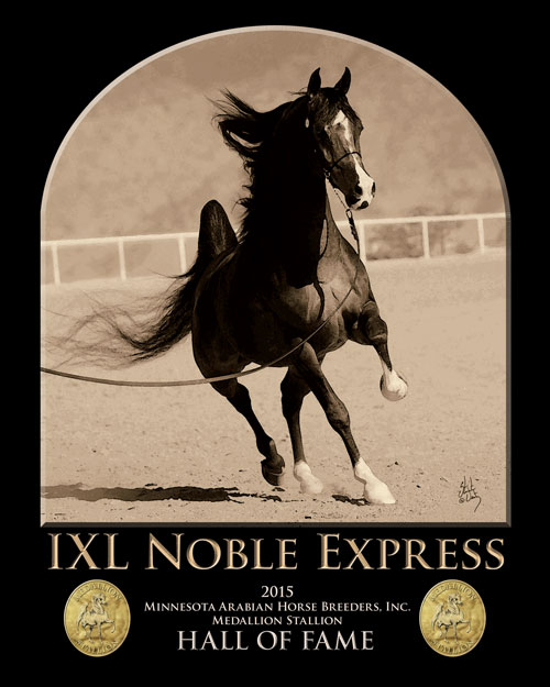 IXL-Noble-Expresss