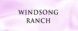 Windsong1