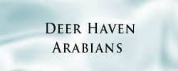 Deer Haven
