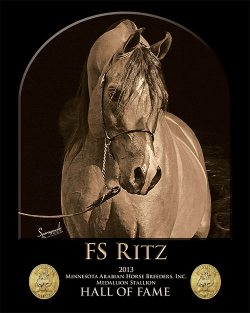 FS-Ritz-2013