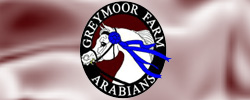 Greymoor