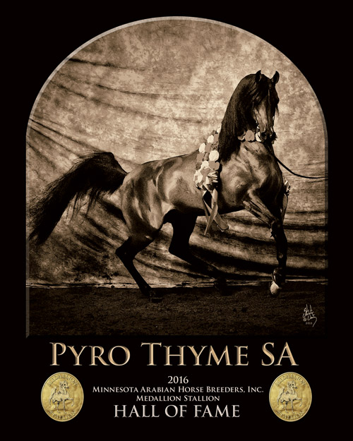 pyro-thyme-2016