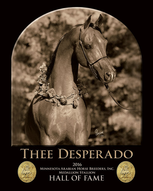 thee-desperado-2016